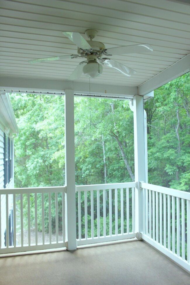 Patio View