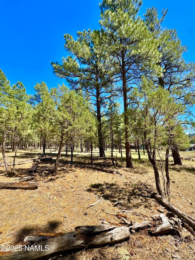 210 N Stoneman Blvd, Williams, AZ 86046 - photo 7