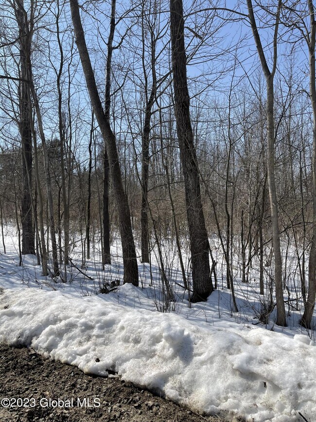 00 Armer Rd, Galway, NY 12020 - photo 2