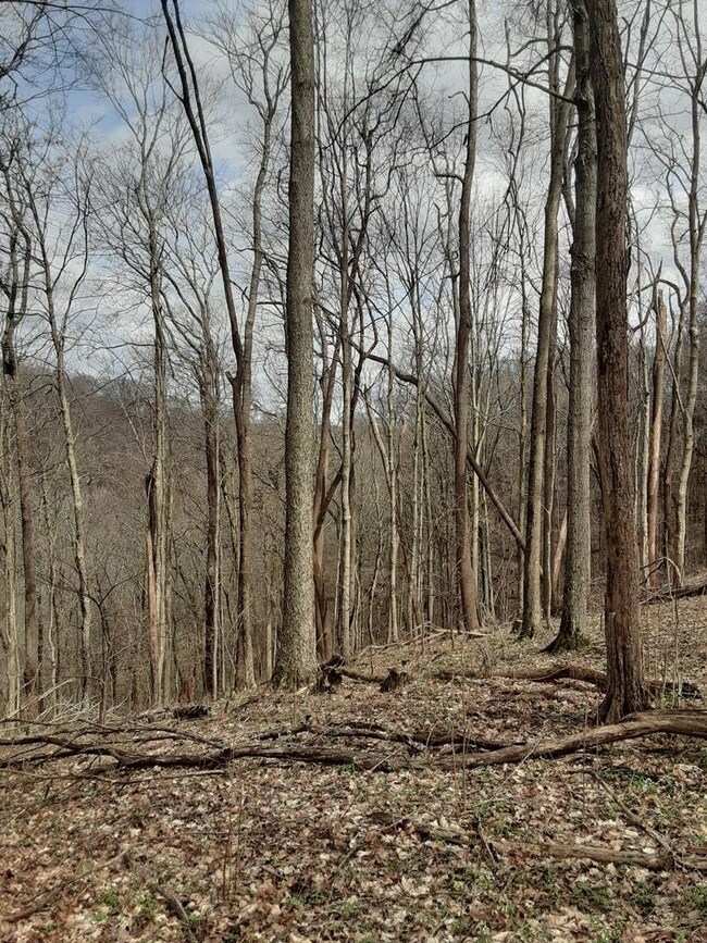 1898 Shaw Branch Rd, Baxter, TN 38544 - photo 3