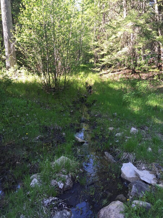 Stream 2