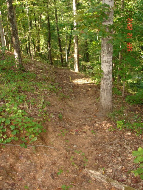 Path To Dock