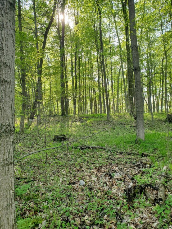 Lot 13 Hjermstad Dr, Ionia, MI 48846 - photo 5