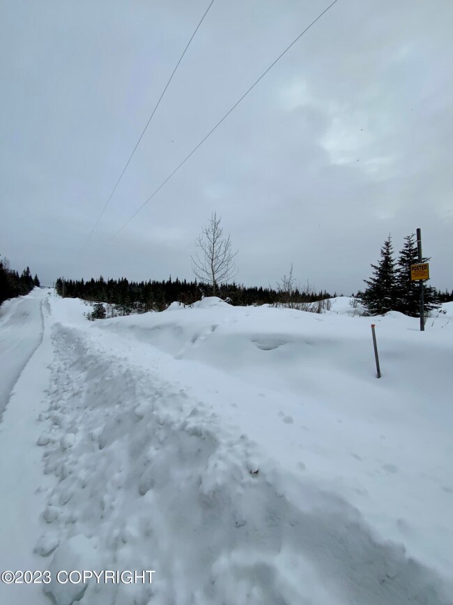 65687 Tomski Ave, Anchor Point, AK 99556 - photo 5