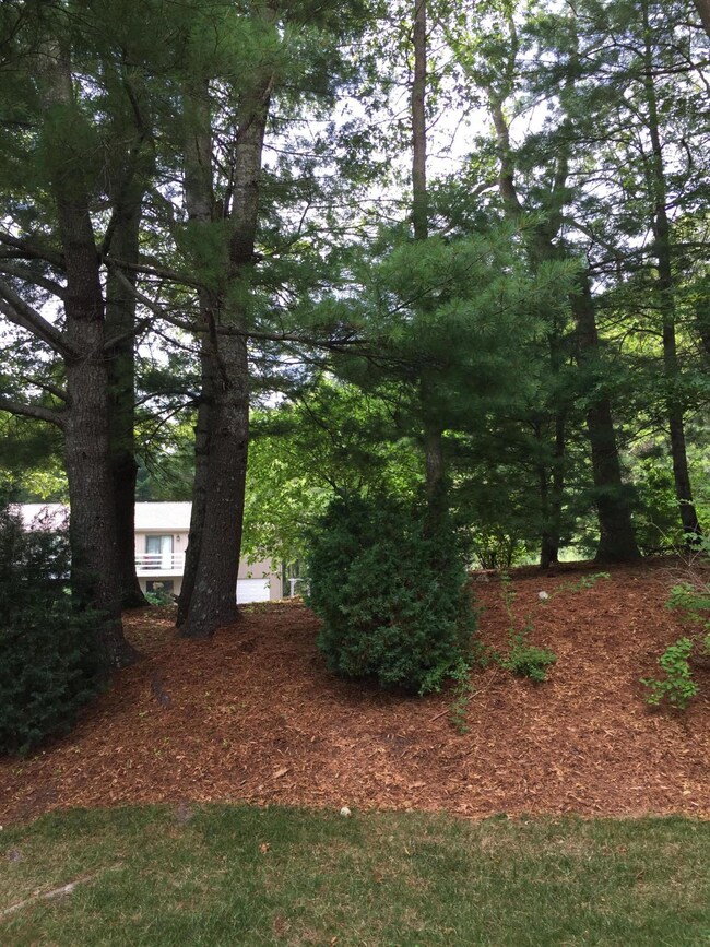 5 Holly Cir, Buzzards Bay, MA 02532 - photo 2