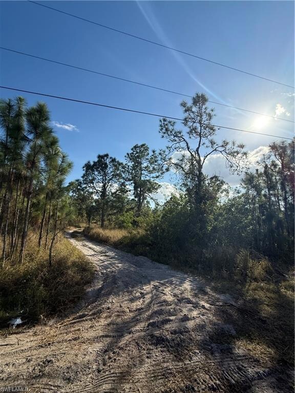 4090 29th Ave NE, Rural Estates, FL 34120 - photo 2
