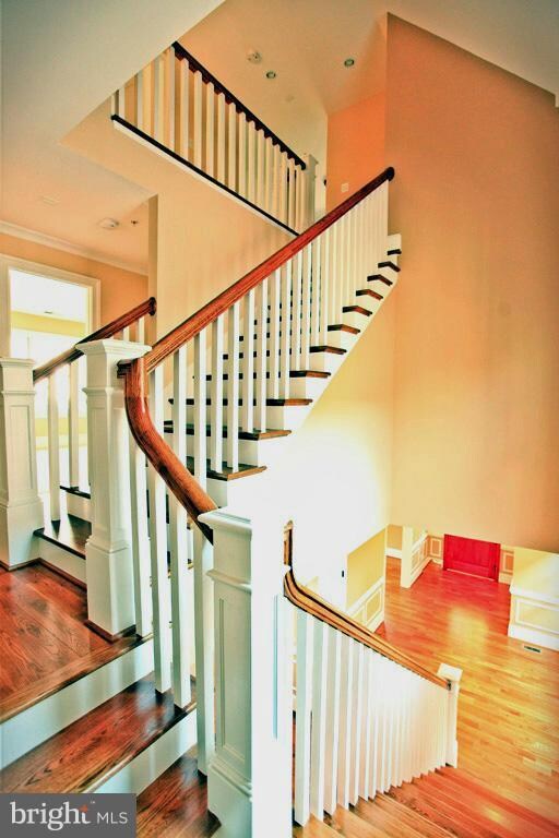 7216 Chestnut St, Chevy Chase, MD 20815 - photo 5