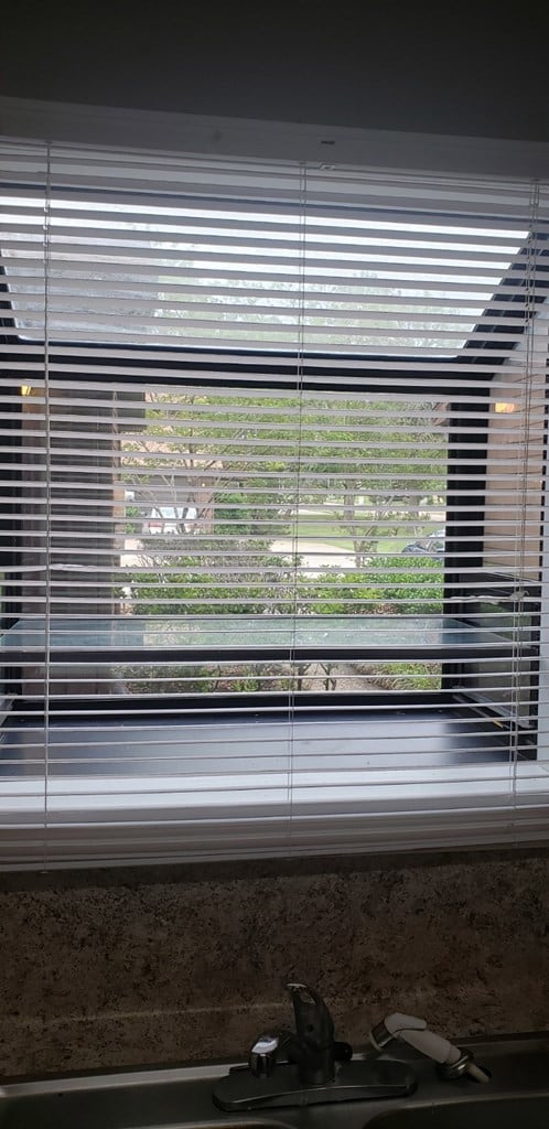 Window Box in the kitchen