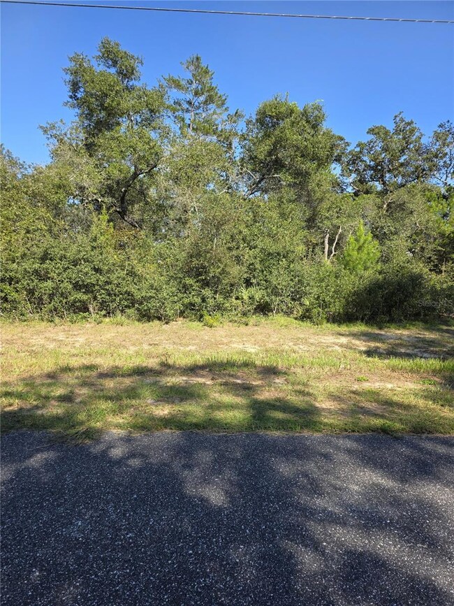 0 SW 21 Ln unit MFROM709603, Ocala, FL 34473 - photo 3