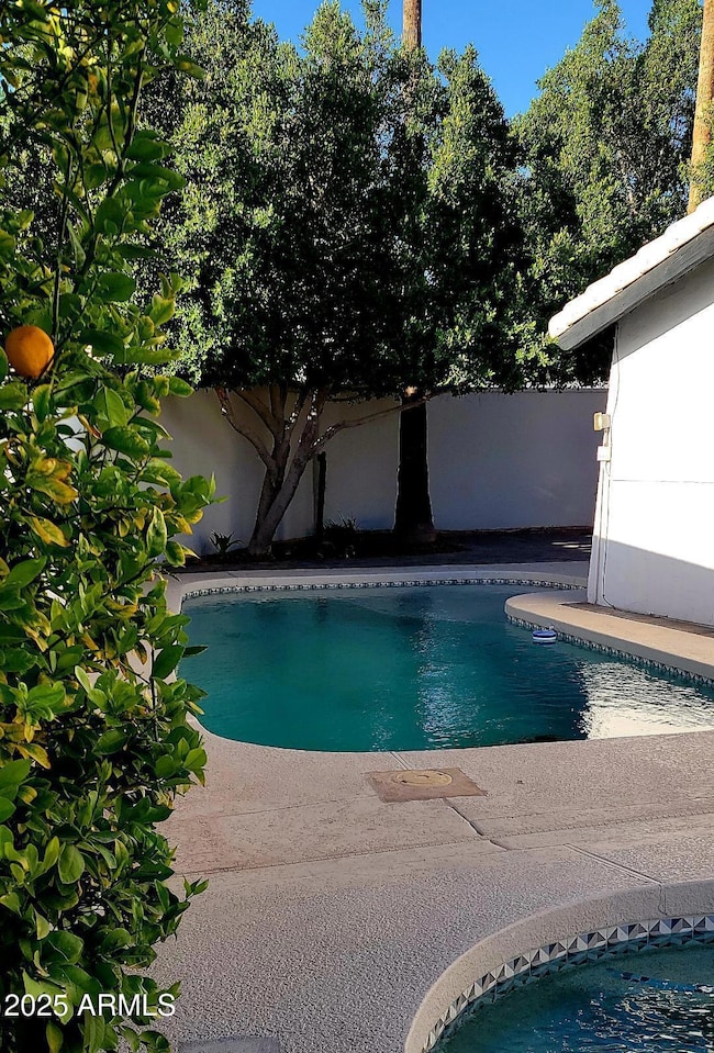 Walled patio