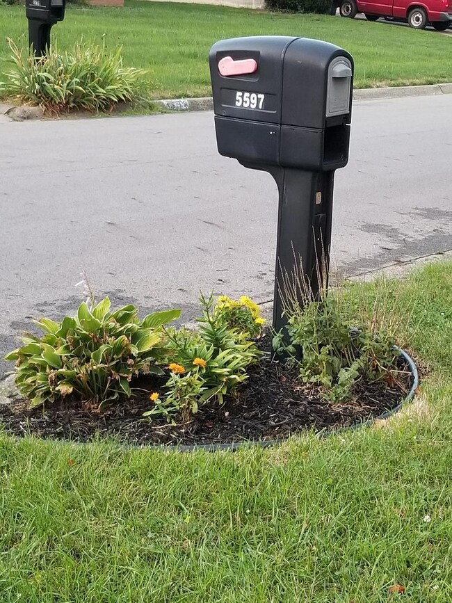 mailbox
