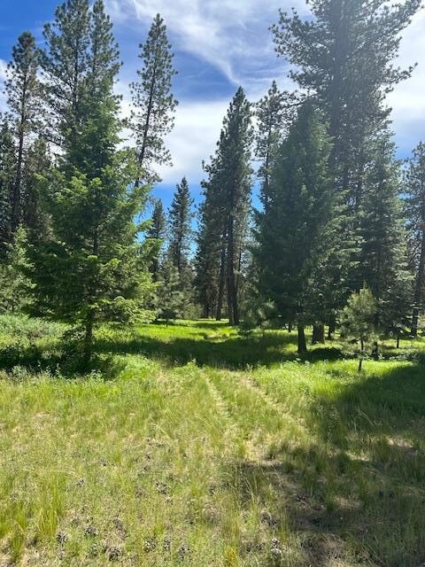 11 Vernon Ct unit Lot 24, McCall, ID 83638 - photo 2