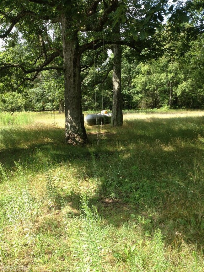 919 S Centerline Rd, White Cloud, MI 49349 - photo 2