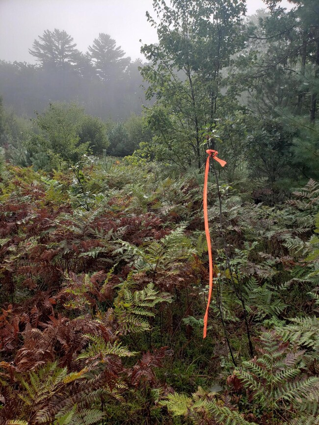 one of 2 soil test location