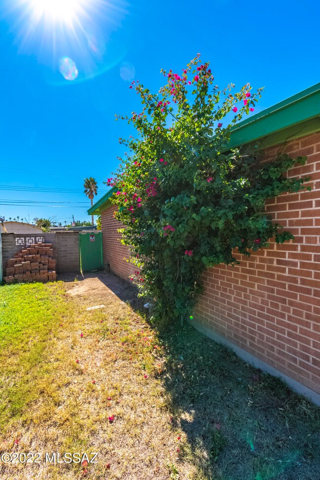 East side of house