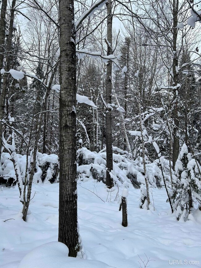 TBD Lot 1 Whitetail Dr, Torch Lake Township, MI 49945 - photo 7