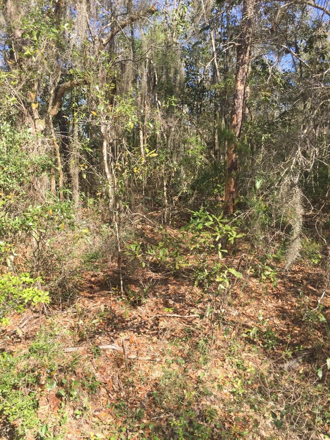 Piney Point Rd and Horseshoe LN