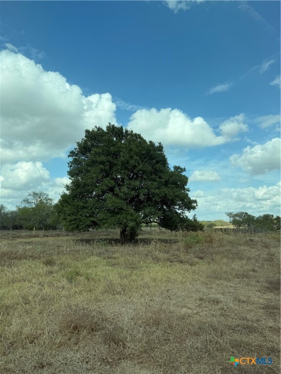 00 Simpson Ranch Rd, Runge, TX 78151 - photo 2
