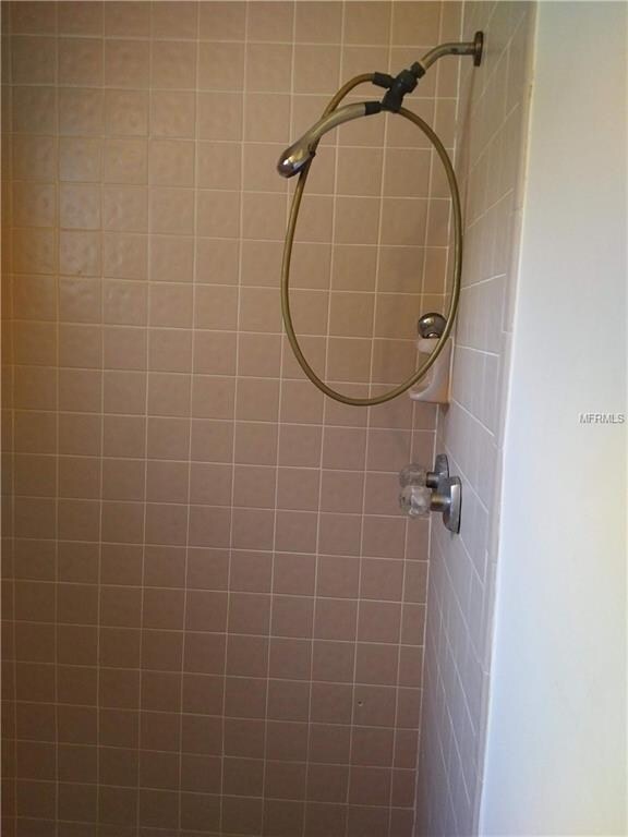 Master bath shower