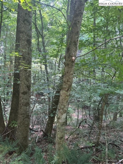 Lot 17 Sunny Ln, Crumpler, NC 28617 - photo 6