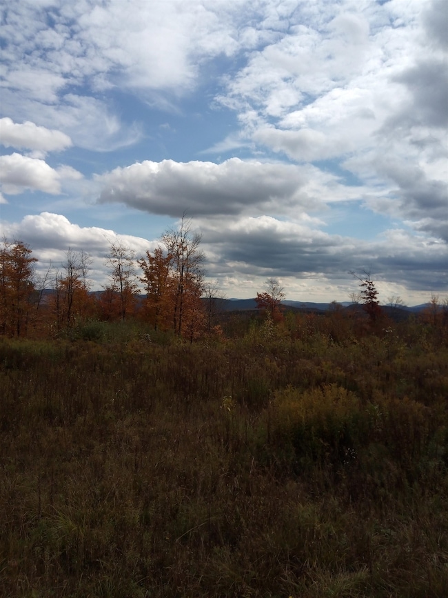 O Toad Pond Rd, Morgan, VT 05853 - photo 7