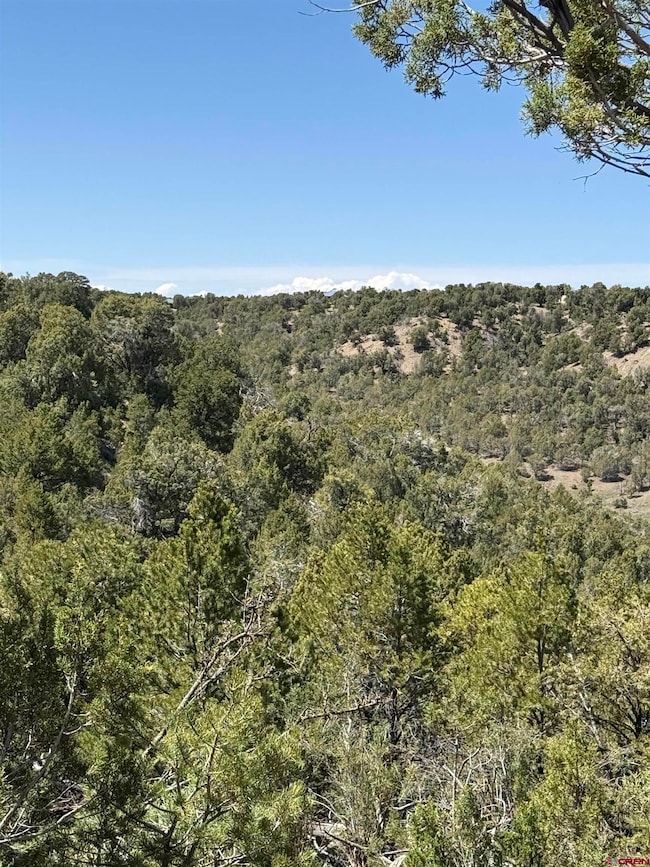 TBD J8 Rd, Mancos, CO 81328 - photo 2