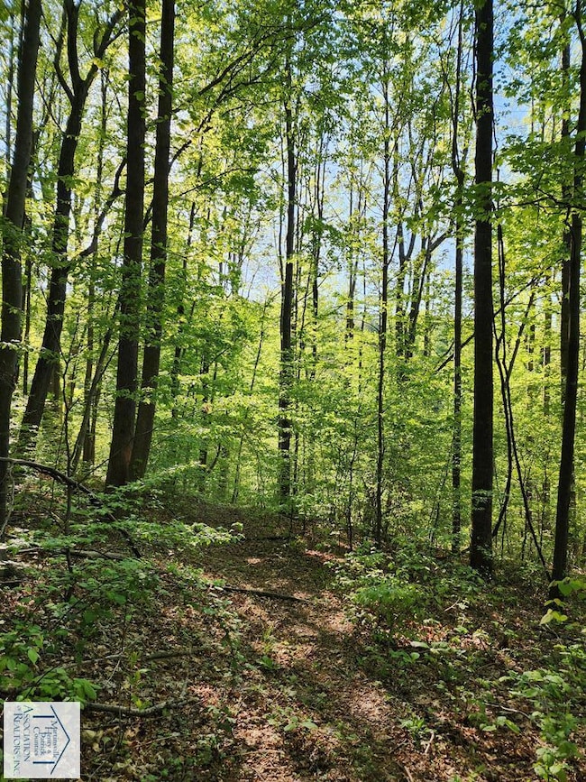 00 Woolwine Hwy, Woolwine, VA 24185 - photo 6