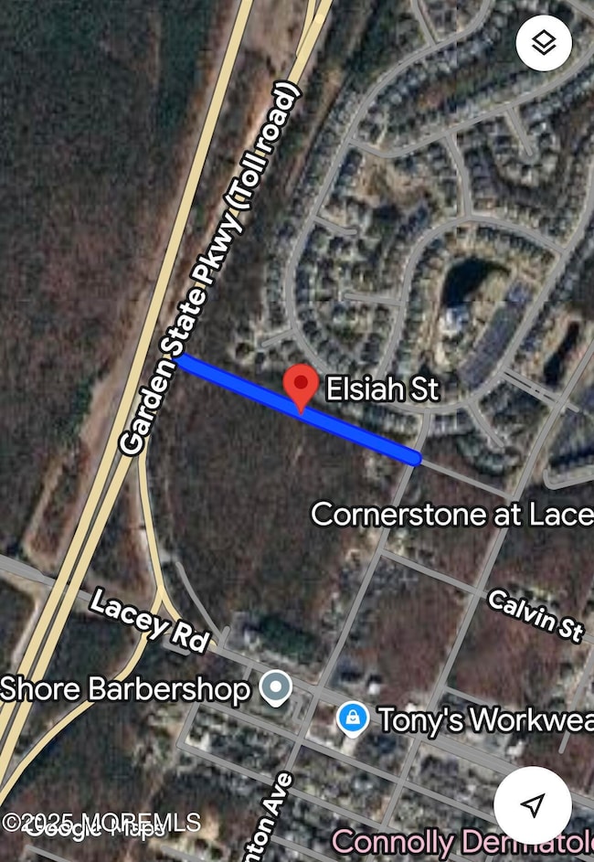 0 Elsiah St - google map view 1