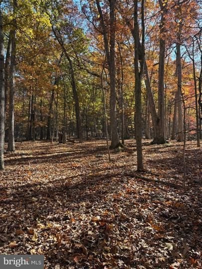 195 Babbling Brook Ln, Romney, WV 26757 - photo 7