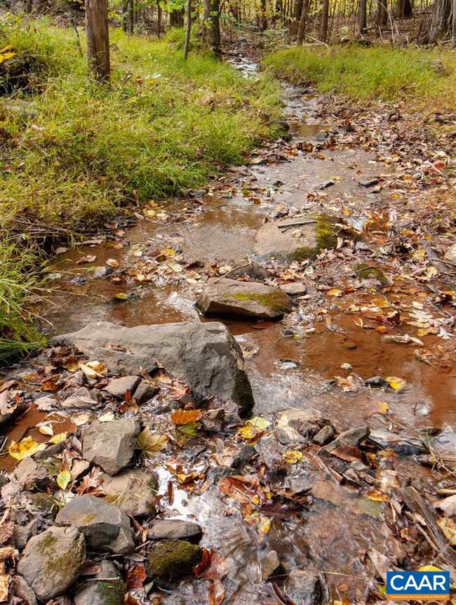 167 Foothills Dr, Nellysford, VA 22958 - photo 2