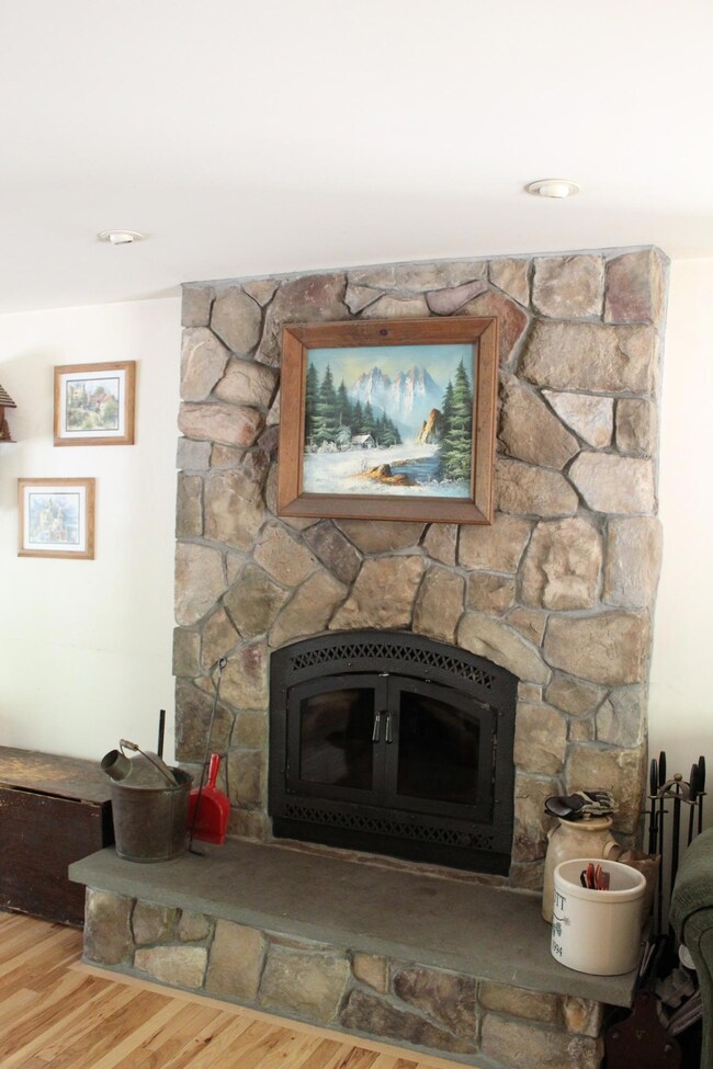Wood burning fireplace in living room