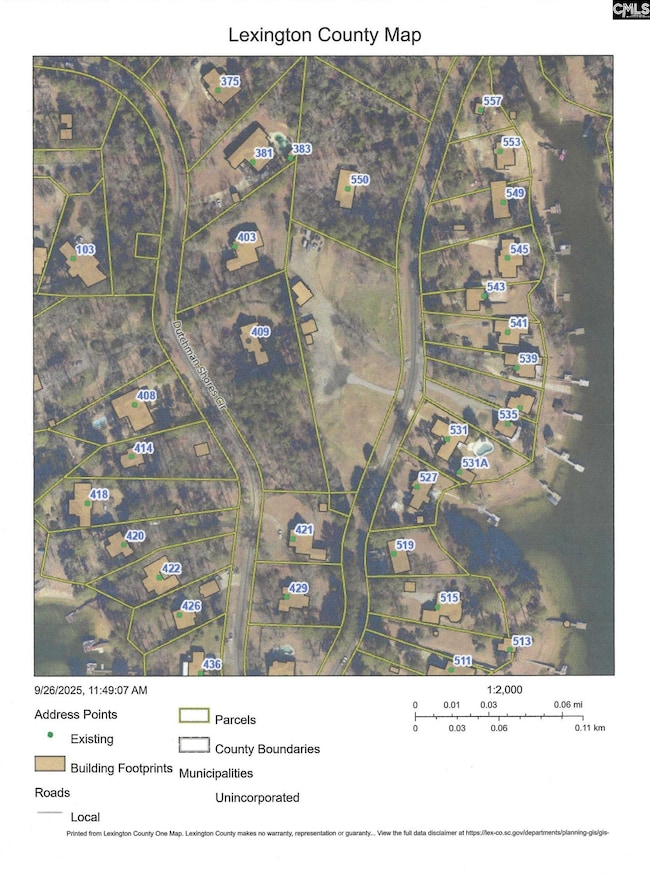 409 Dutchman Shores Cir, Chapin, SC 29036 - photo 2