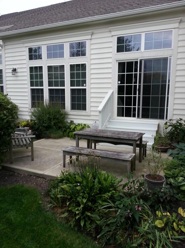Rear patio area