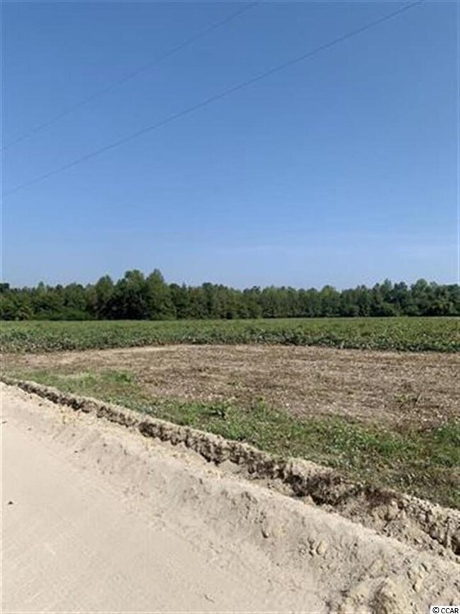 TBD Jamie Rd unit Lot F, Aynor, SC 29511 - photo 5