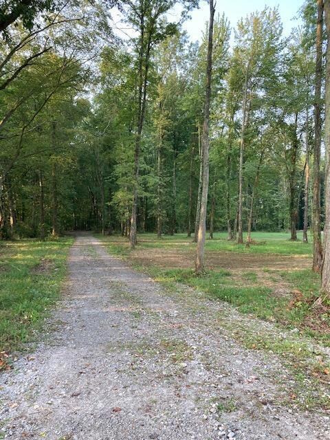 4176 Park Rd, Perry Township, OH 45118 - photo 6