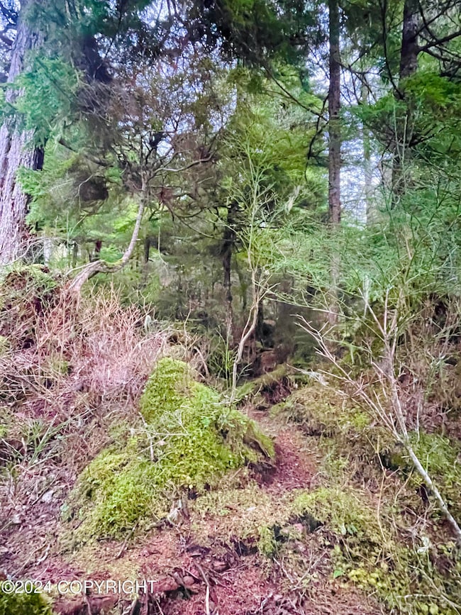 Gentle Slope