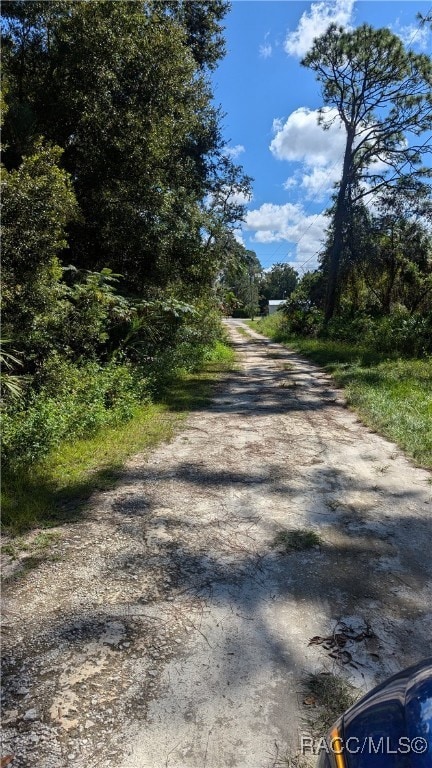 7970 W Delta Ct, Crystal River, FL 34429 - photo 7