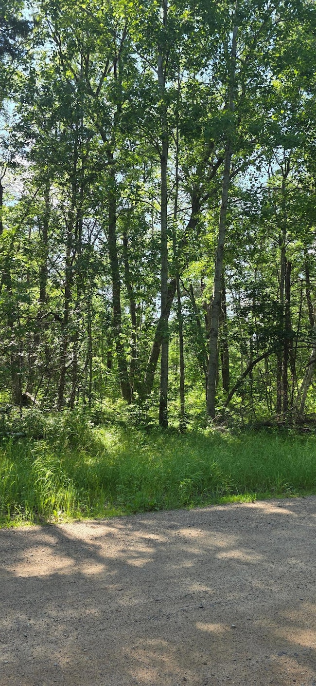 tbd Cedar St, Breezy Point, MN 56472 - photo 4