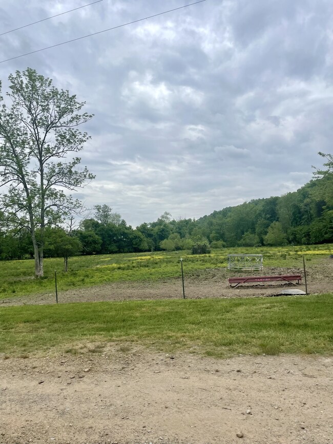 323 Alsup Hollow Rd, Minor Hill, TN 38473 - photo 4