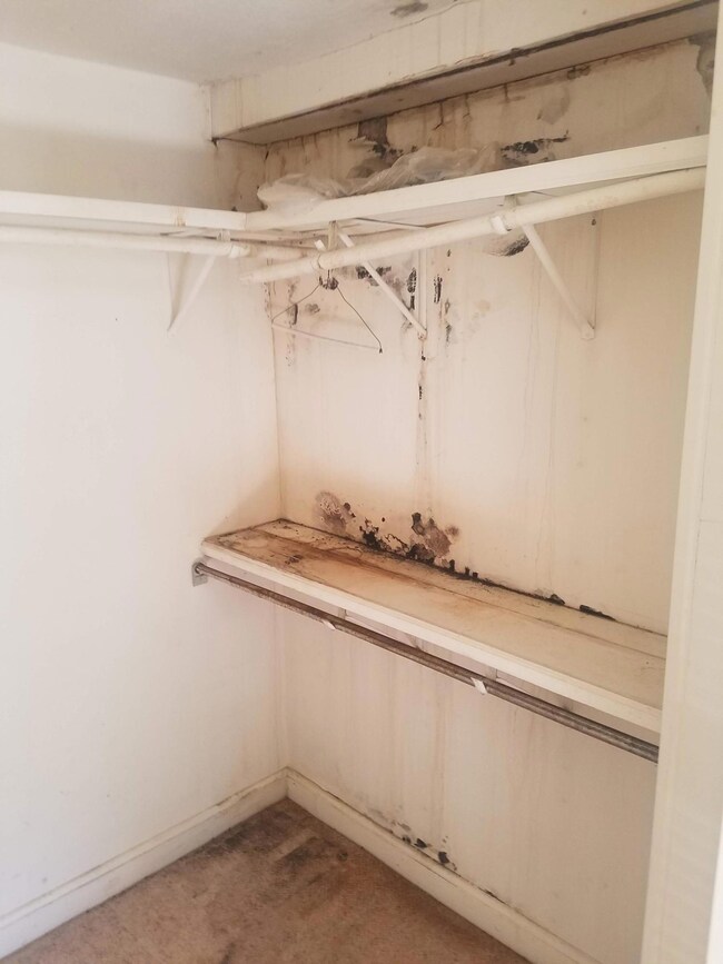 Bedroom closet