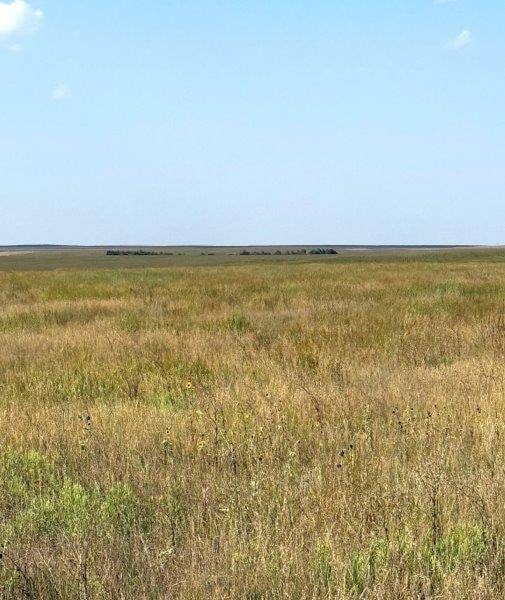 000 S Eagle St, Dighton, KS 67839 - photo 2