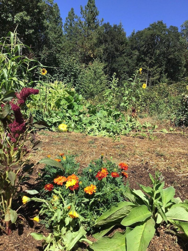 20241004210311128950000000-o