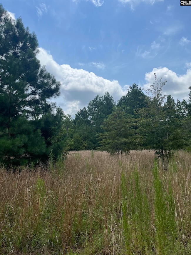 BHL 3 Boise Cascade Rd unit BHL 3, Bethune, SC 29009 - photo 4