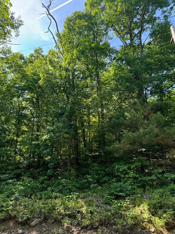 0 Ely Rd unit 73247615, Monson, MA 01057 - photo 3