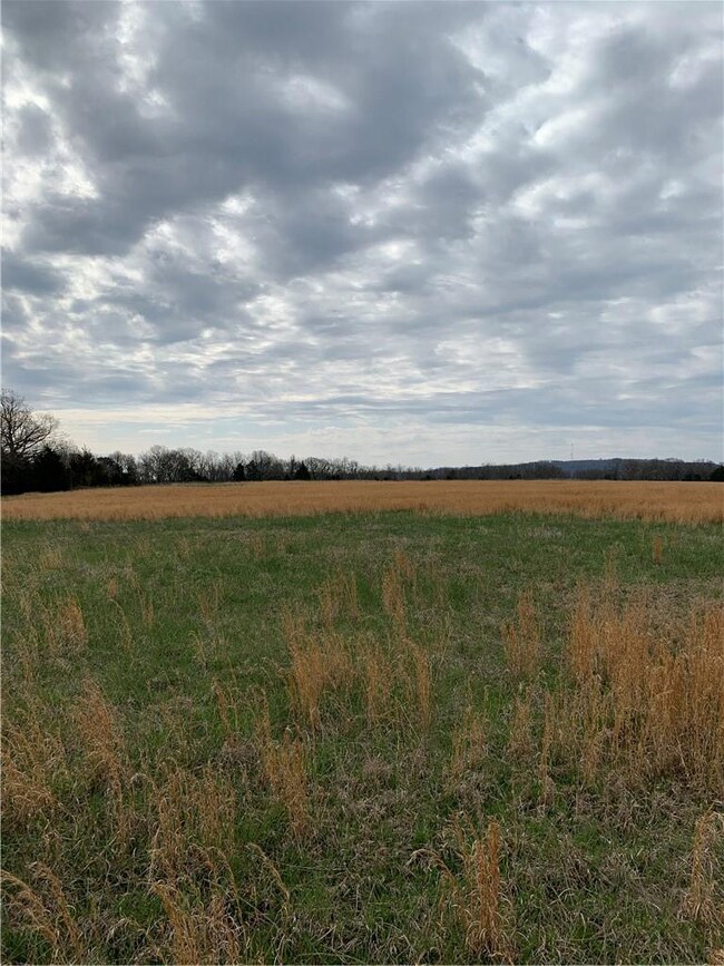 12499 Sugar Mountain Rd, West Fork, AR 72774 - photo 5