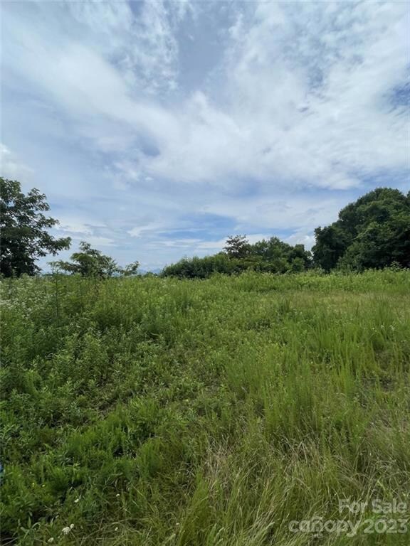 Mountain View from top house pad.