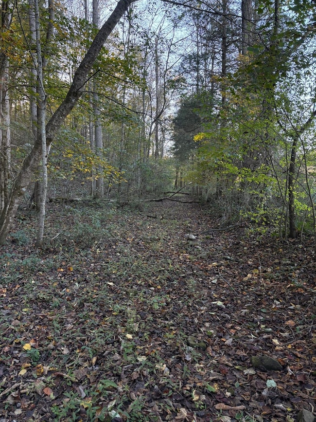 0 Calfkiller Hwy unit 25393188, Monterey, TN 38574 - photo 7