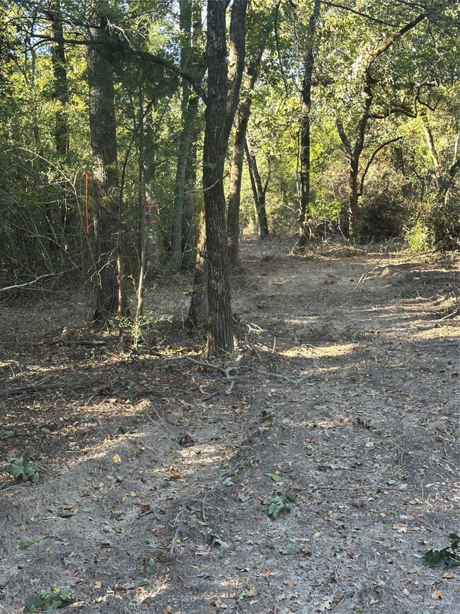 TR 4 Cr219, Buffalo, TX 75831 - photo 7