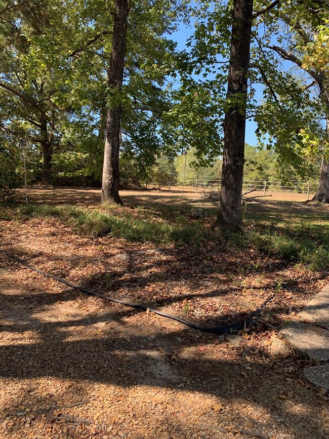 8234 Hwy St, Osyka, MS 39657 - photo 6