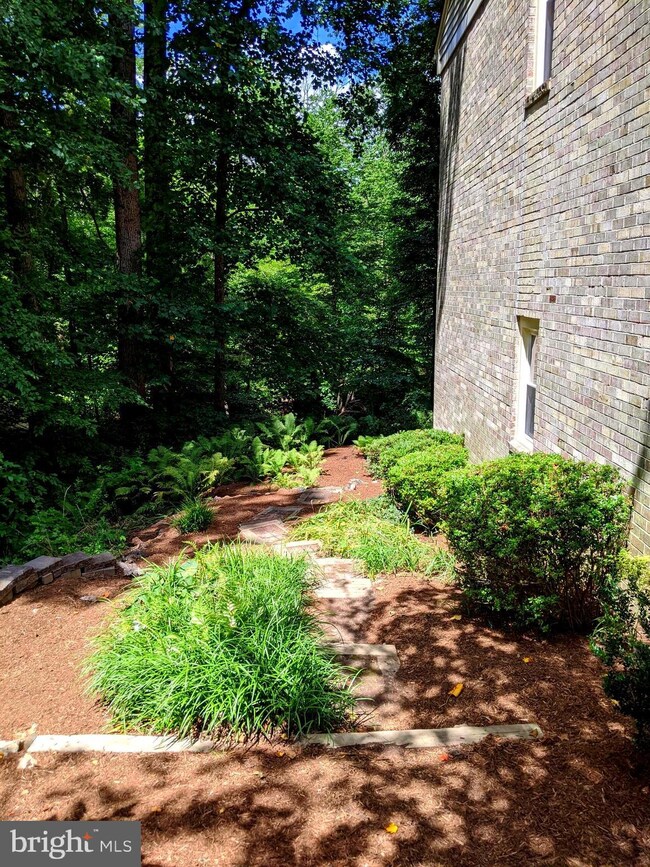 4601 Briar Patch Ct, Fairfax, VA 22032 - photo 3